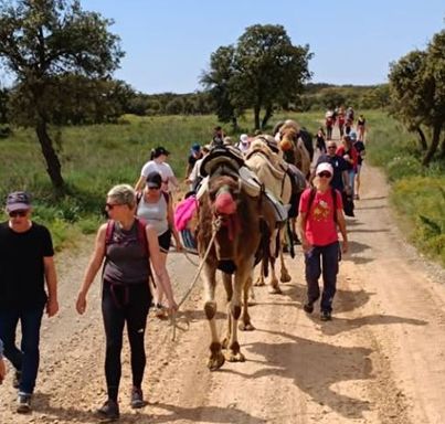 randonnée pédestre